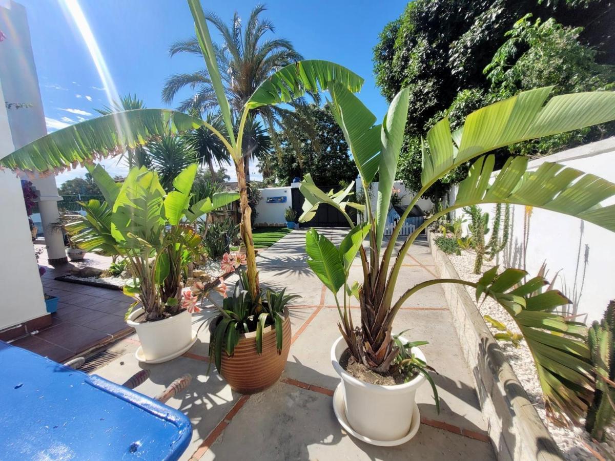 Gatu Premium Villa Lurberri Piscina Privada, 4 Dormitorios, 2 Banos, Parking , Jardines, " Preferente Mayores De 25 Anos Y Familias " In Y Barbacoa Chiclana de la Frontera Buitenkant foto